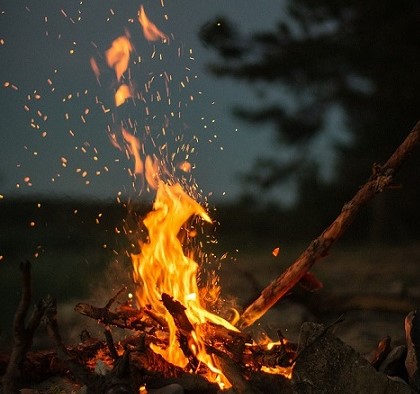 Prohibit fer foc als terrenys forestals des del 15 de març fins al 15 d'octubre